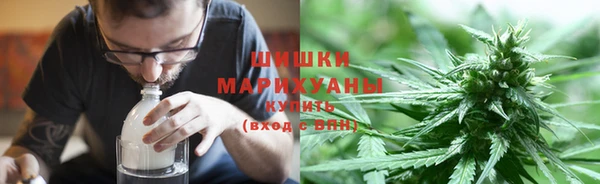 молекула духа Белокуриха