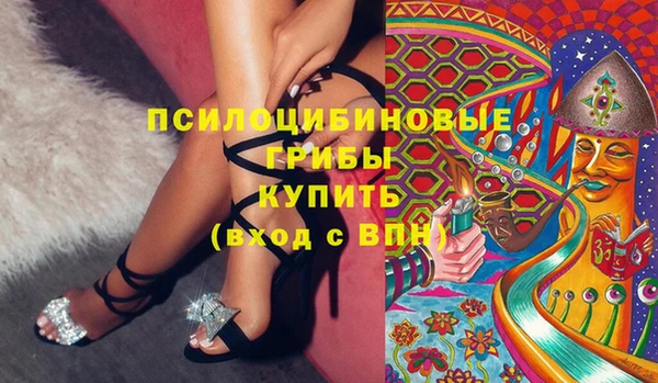 молекула духа Белокуриха