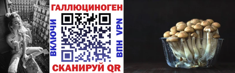 Галлюциногенные грибы Cubensis  купить закладку  Чёрмоз 